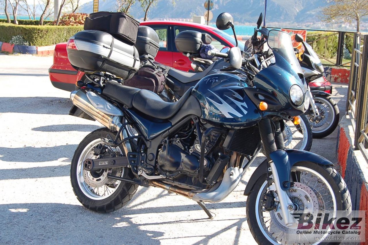 Thumbnail for Triumph Tiger 900 1999