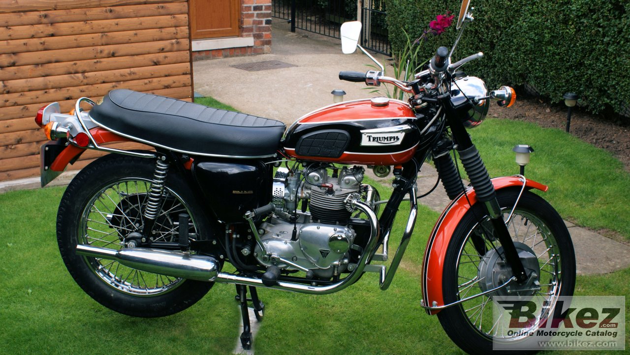 Triumph Tiger Daytona