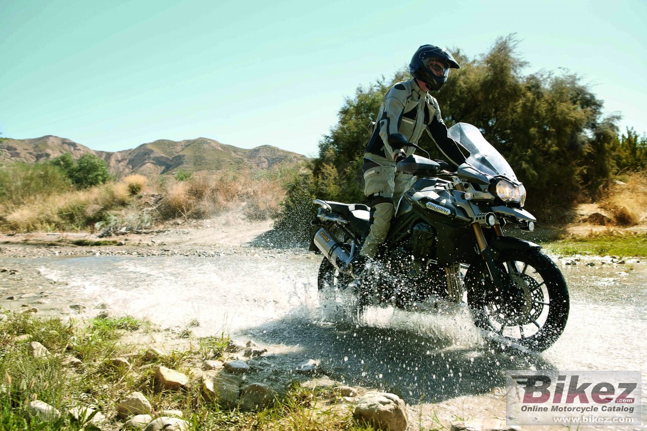 Thumbnail for Triumph Tiger Explorer 2012