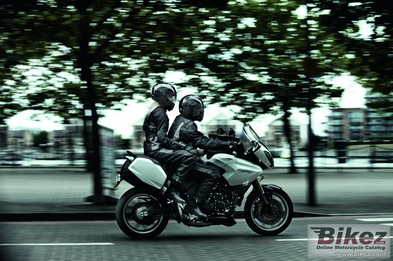 Thumbnail for Triumph Tiger SE 2010