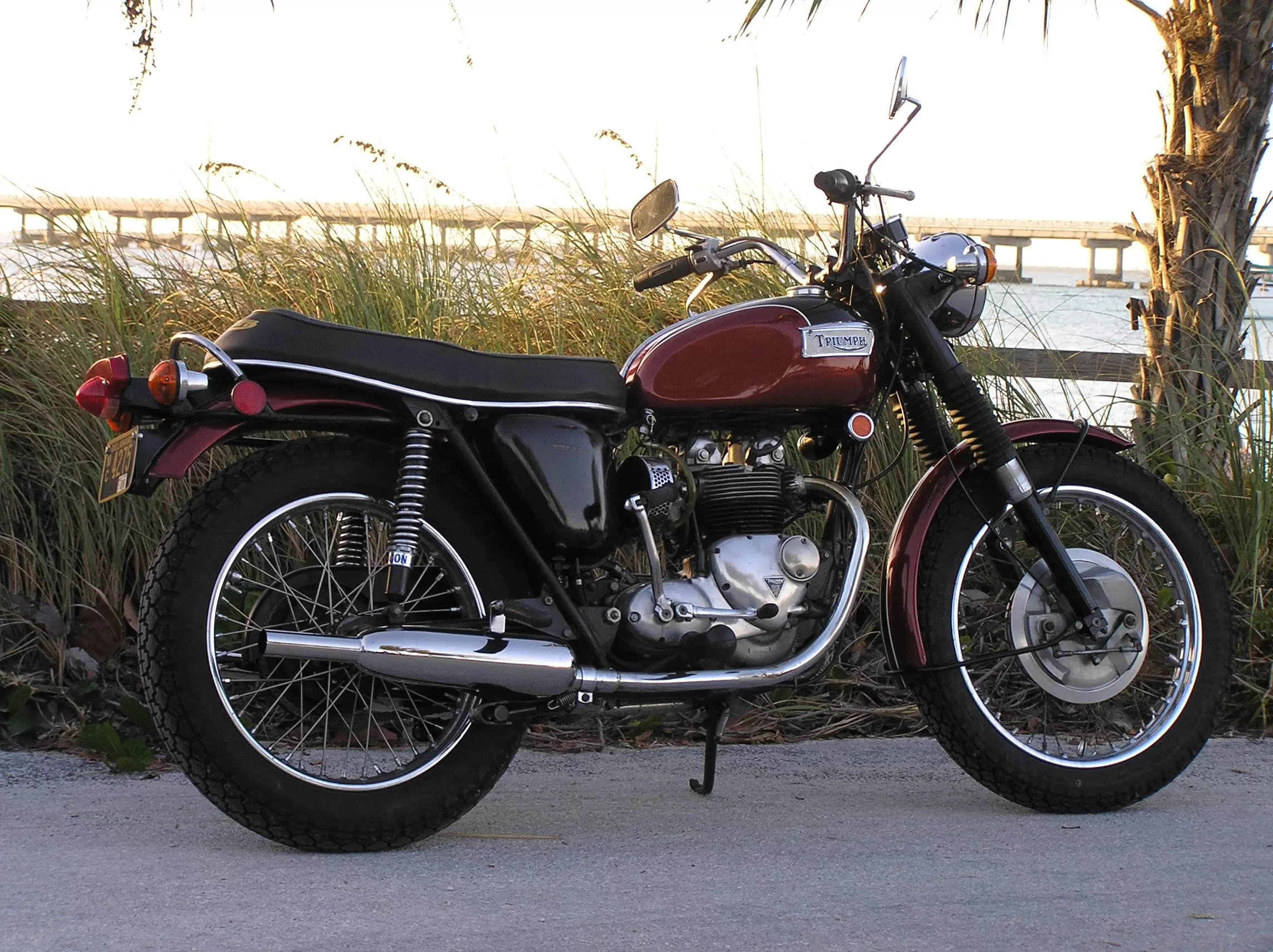 Triumph Tiger USA