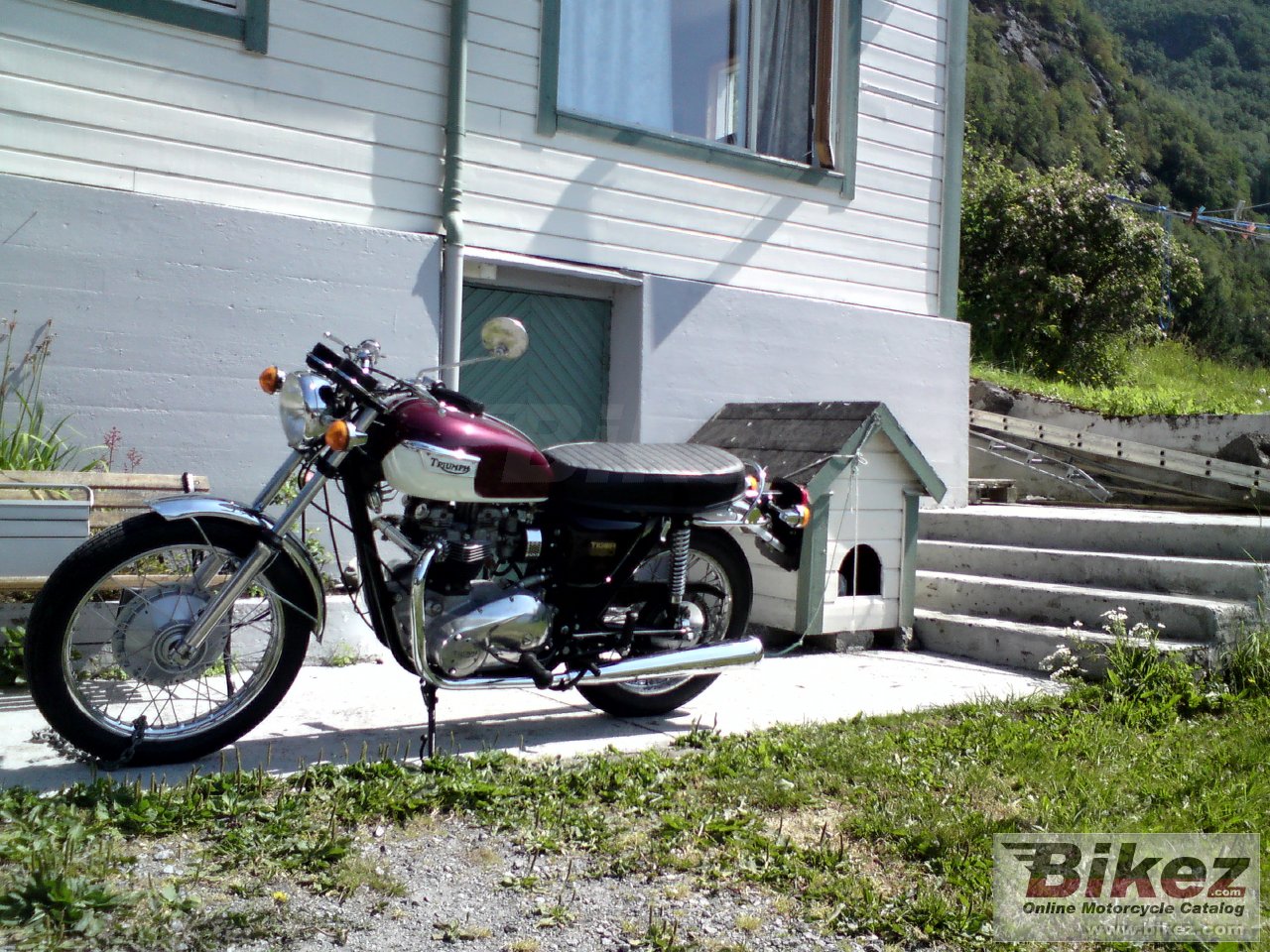 Thumbnail for Triumph TR 6 R Tiger 650 1971