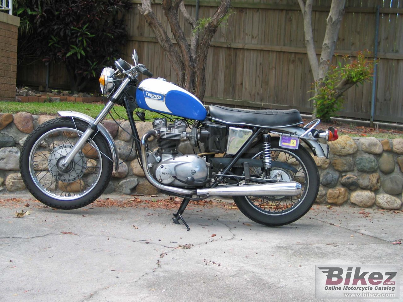 Triumph TR 6 V Tiger 650