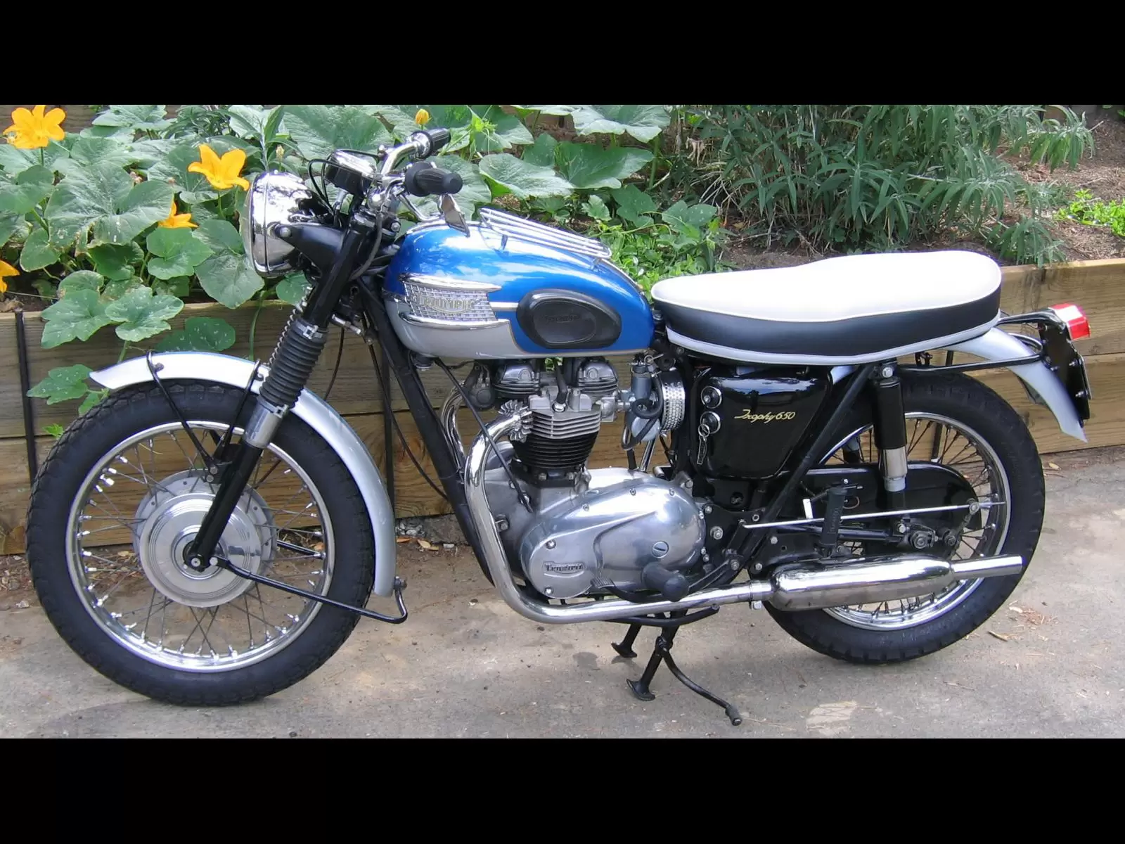 Triumph TR 7 RV Tiger