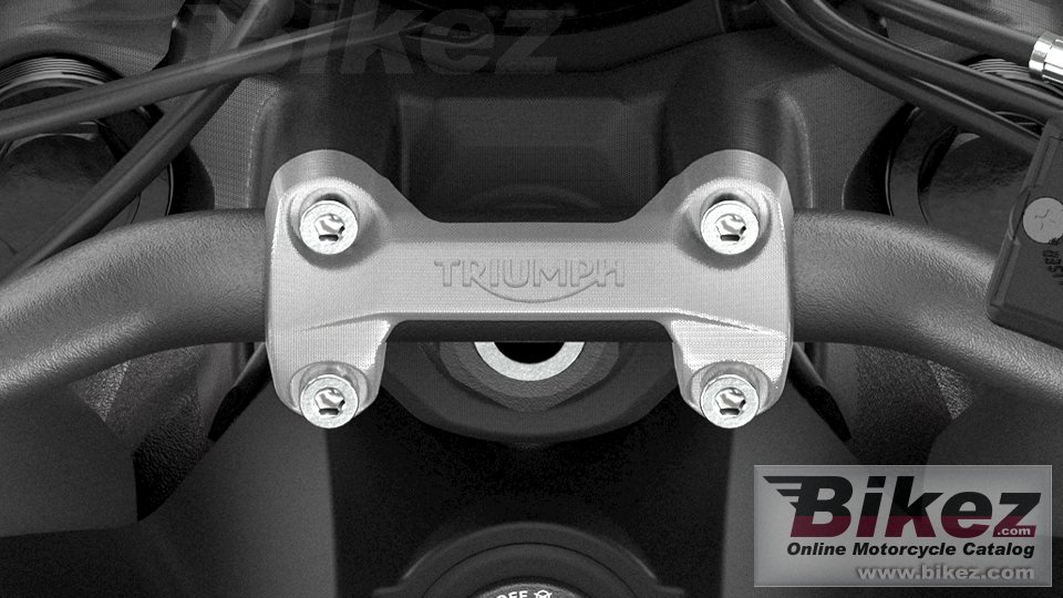 Thumbnail for Triumph Trident 660 2021