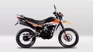 Thumbnail for UM DSRX 125 2021