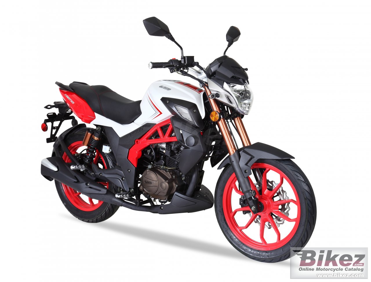 UM Xtreet RC