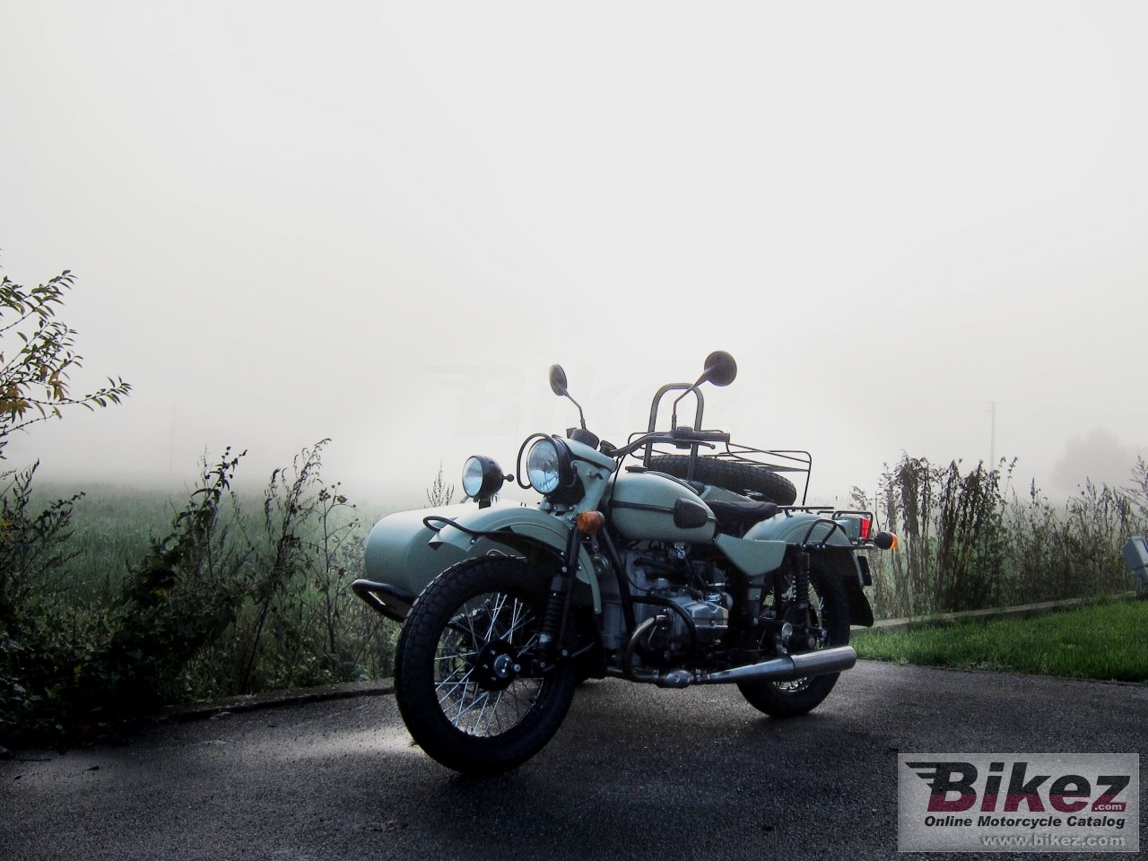 Thumbnail for Ural Ranger Frog 2014
