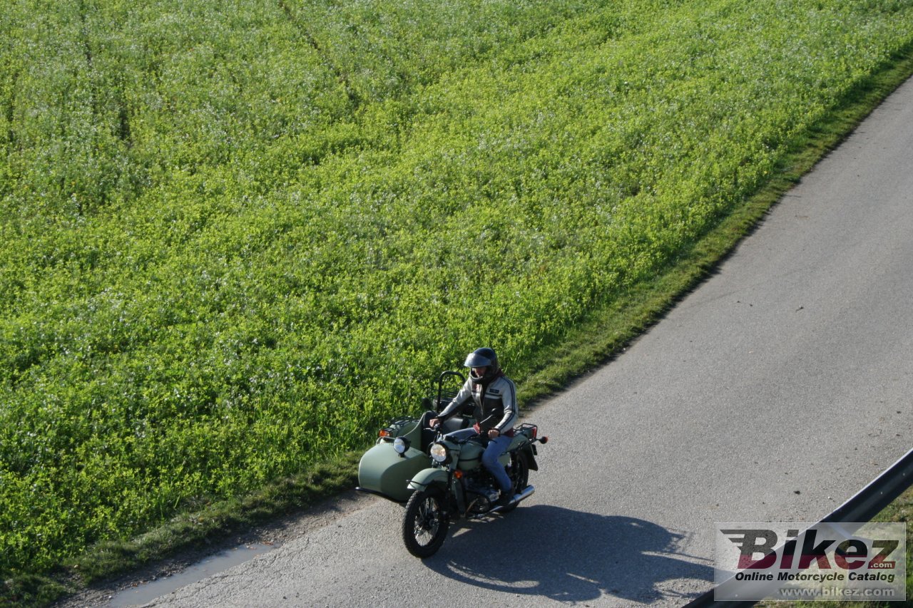 Thumbnail for Ural Ranger Frog 2014