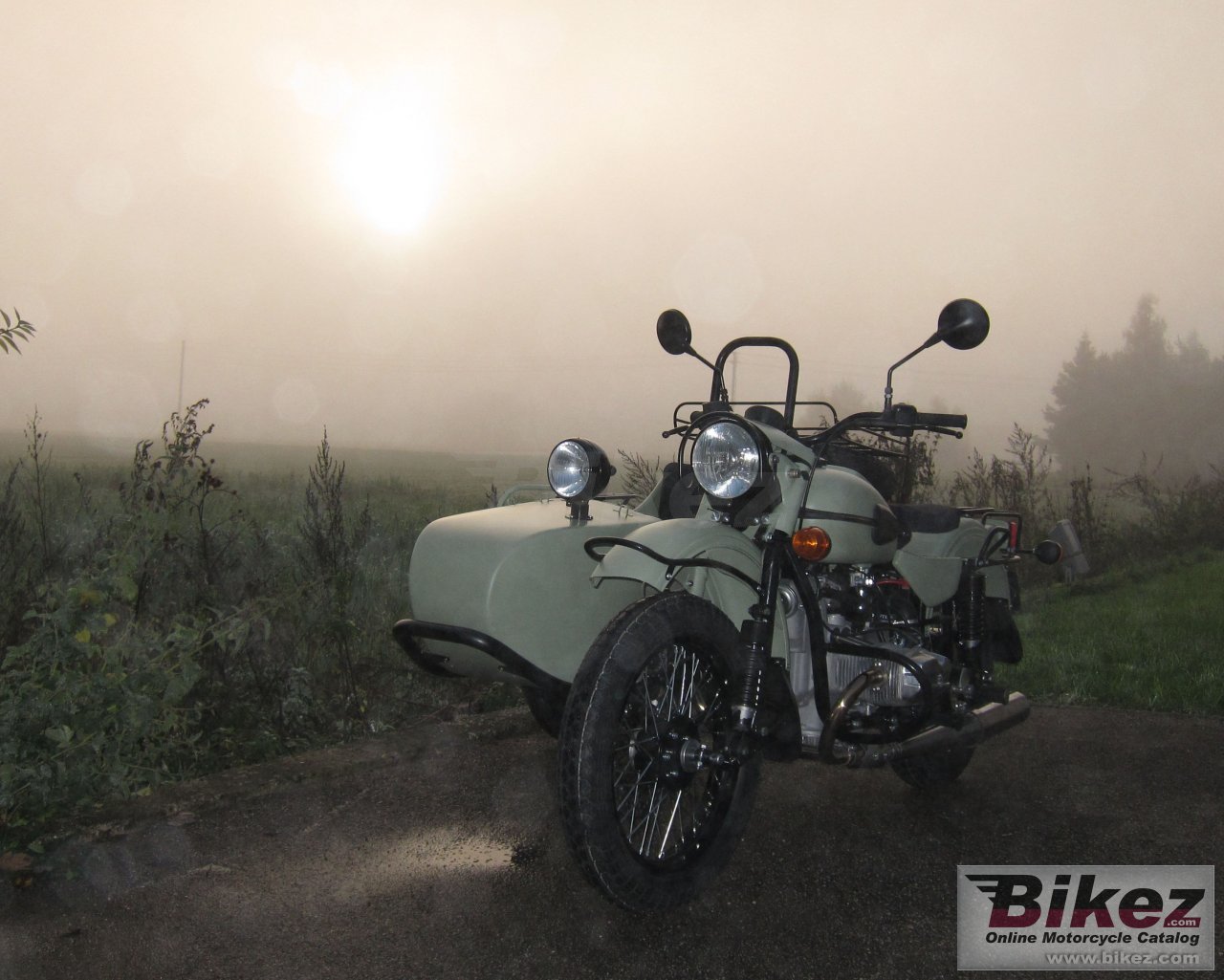 Thumbnail for Ural Ranger Frog 2014