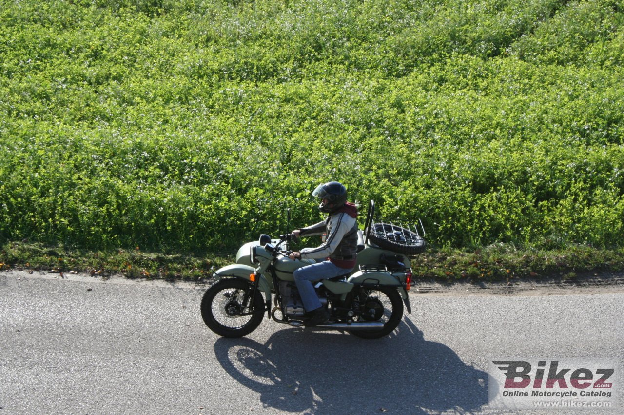 Thumbnail for Ural Ranger Frog 2014