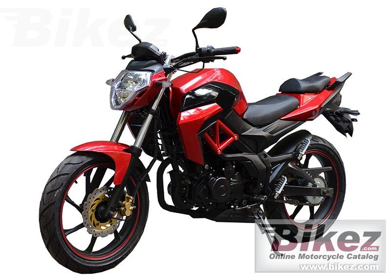 Veli VL250GS-R