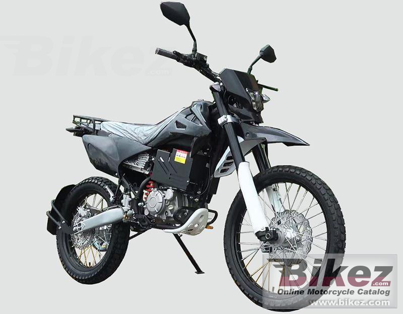 Veli VMX12-FS Panther