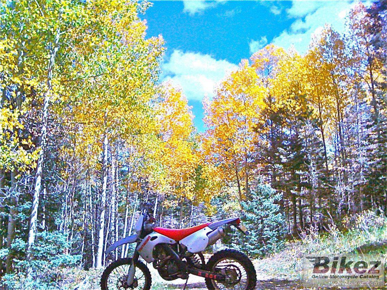 Vertemati E 501 E Enduro