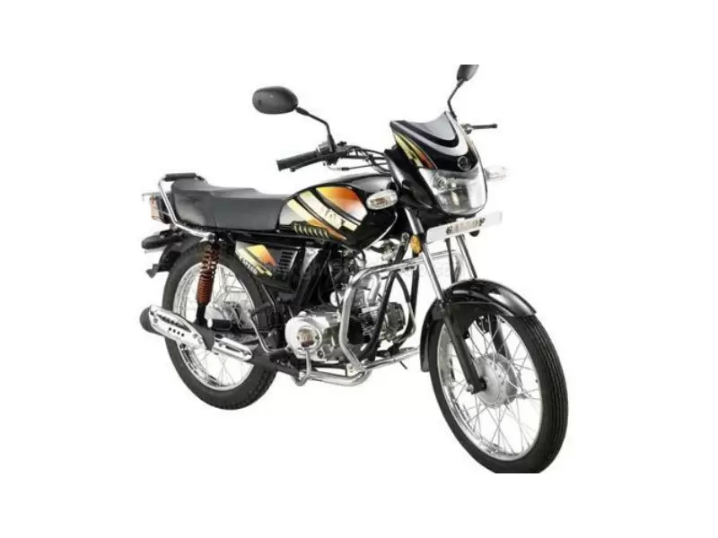 Vibgyor Gallop 100