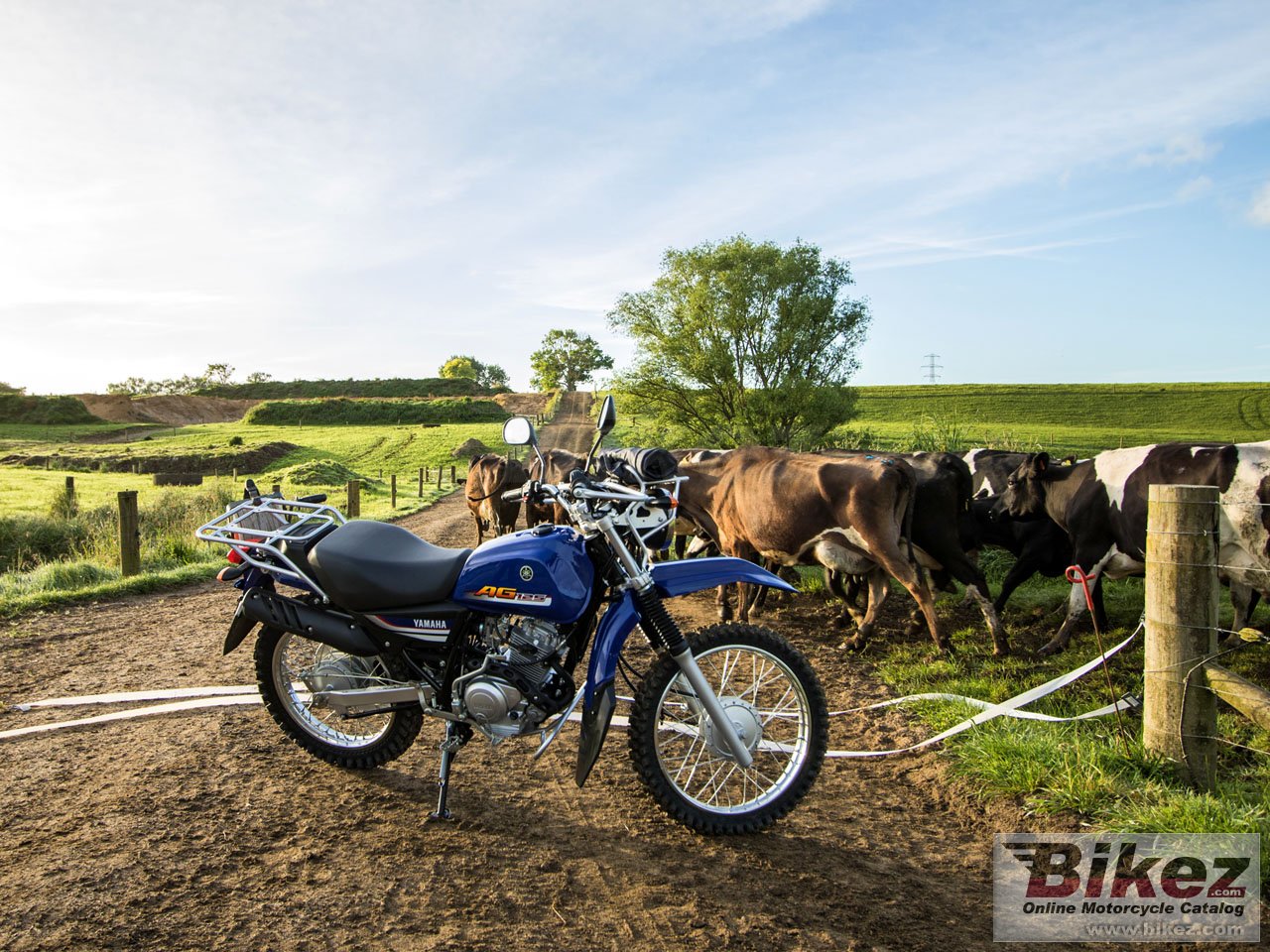 Thumbnail for Yamaha AG125 2018