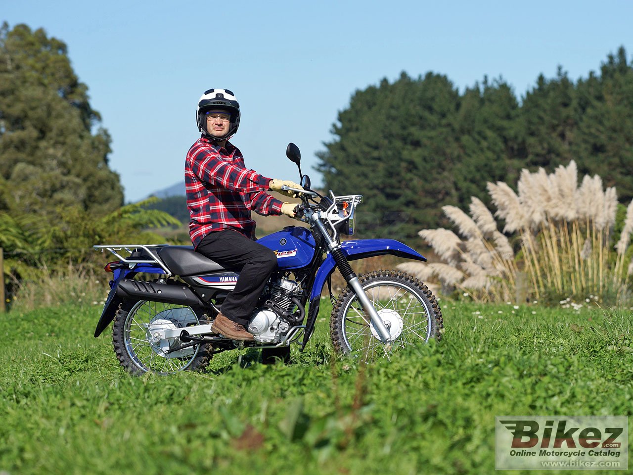 Thumbnail for Yamaha AG125 2018