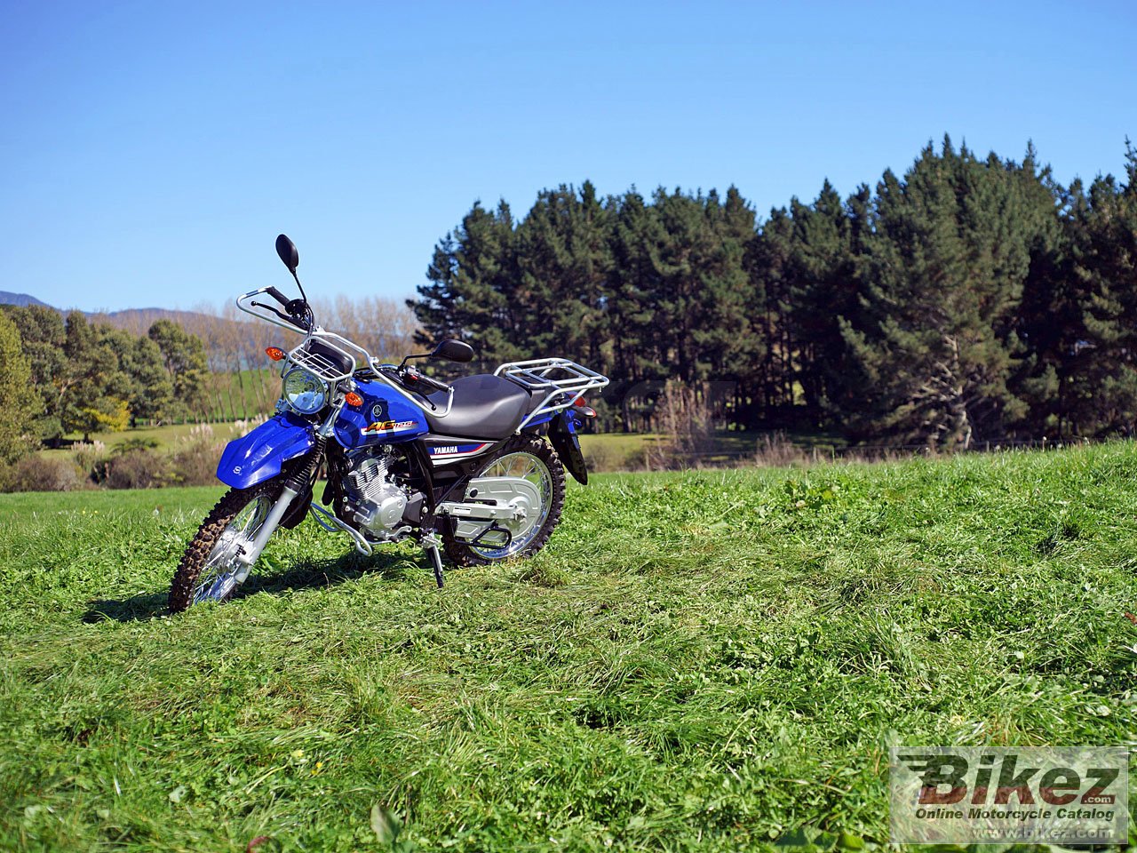 Thumbnail for Yamaha AG125 2018
