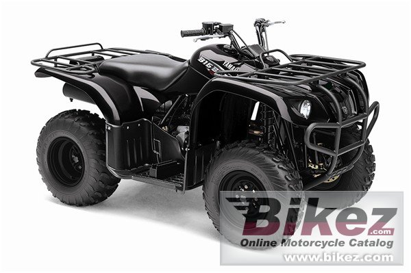Thumbnail for Yamaha Big Bear 250 2009