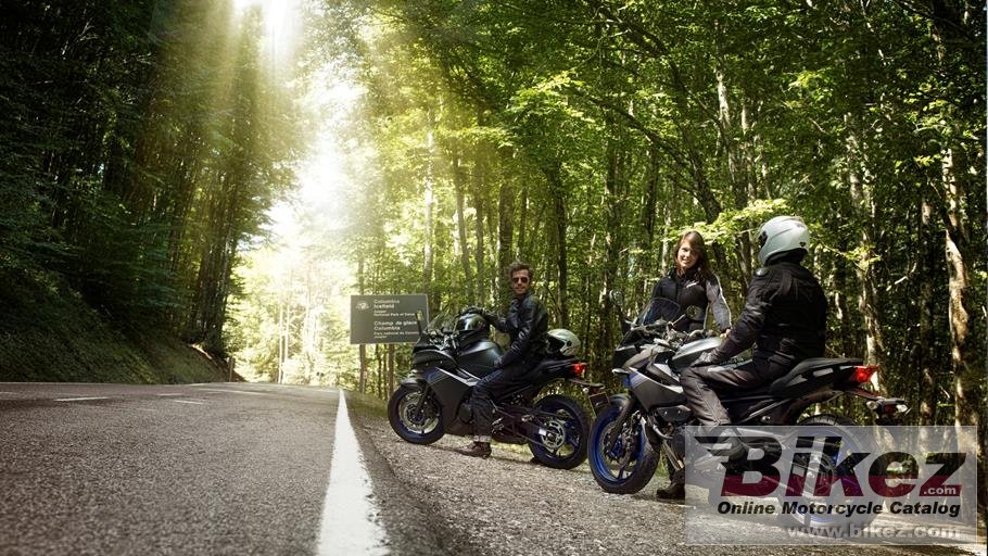 Thumbnail for Yamaha Diversion 2014