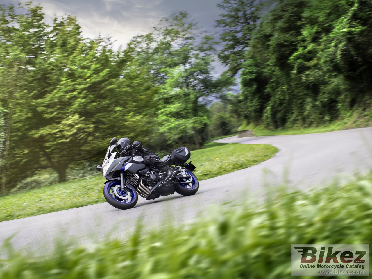 Thumbnail for Yamaha Diversion 2015
