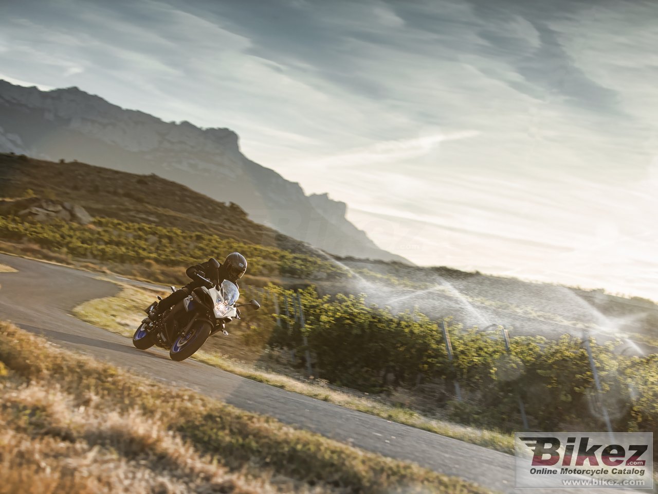 Thumbnail for Yamaha Diversion F 2015