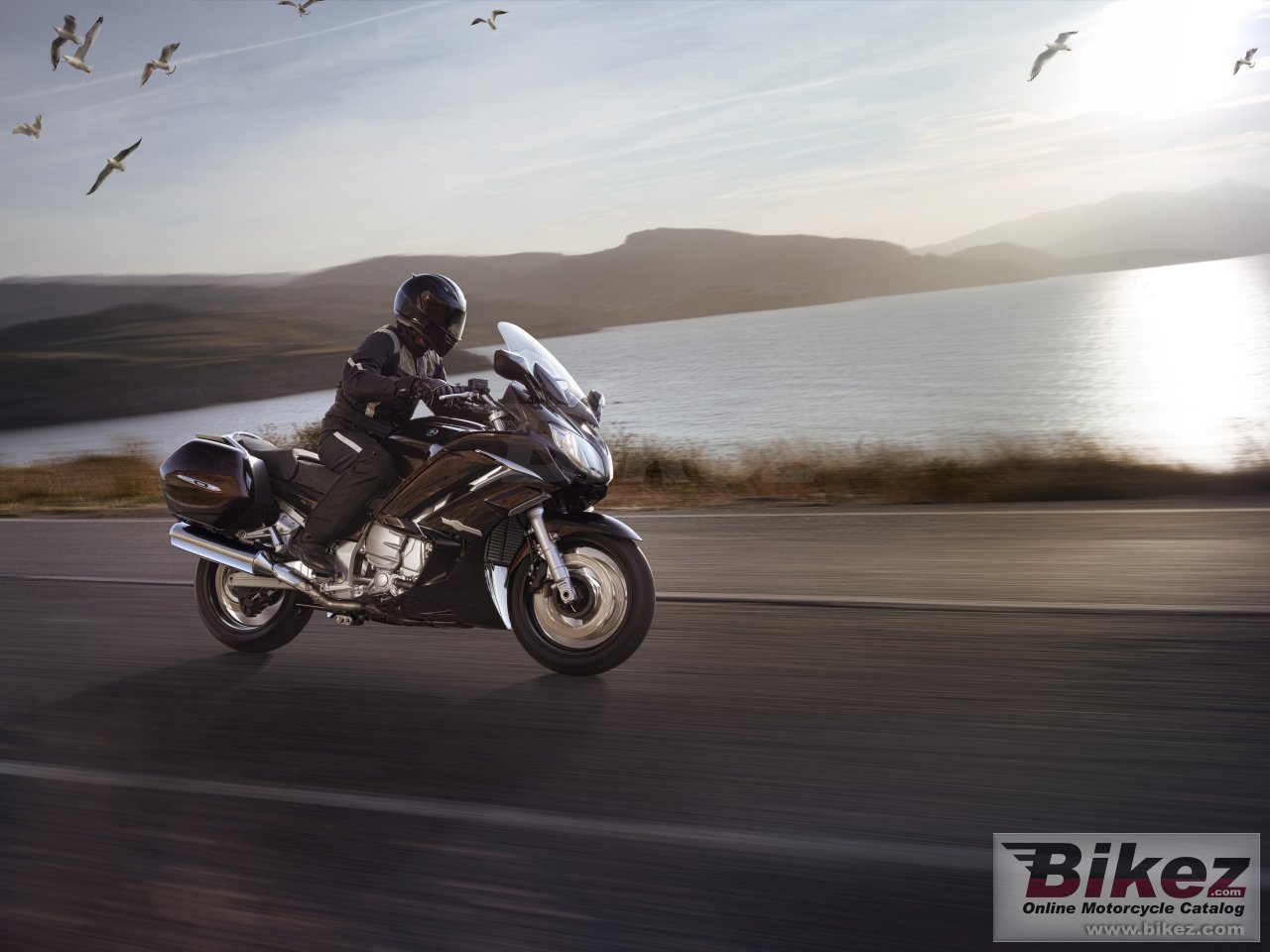 Thumbnail for Yamaha FJR1300A 2013