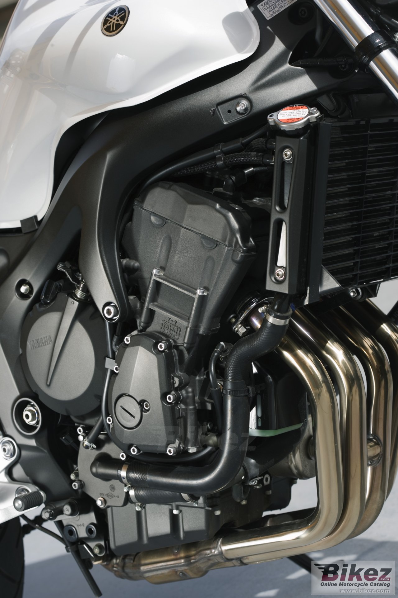 Thumbnail for Yamaha FZ6 S2 ABS 2008