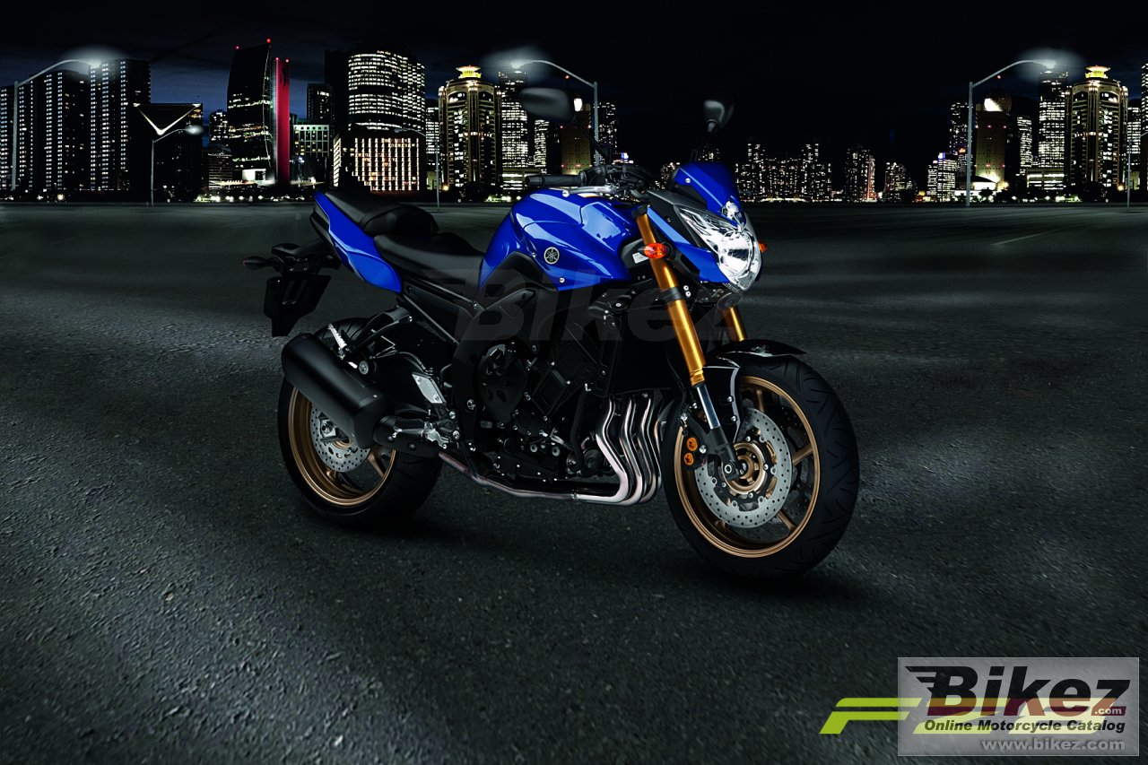Thumbnail for Yamaha FZ8 2010