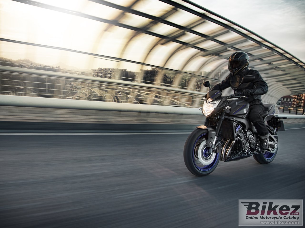 Thumbnail for Yamaha FZ8 2013