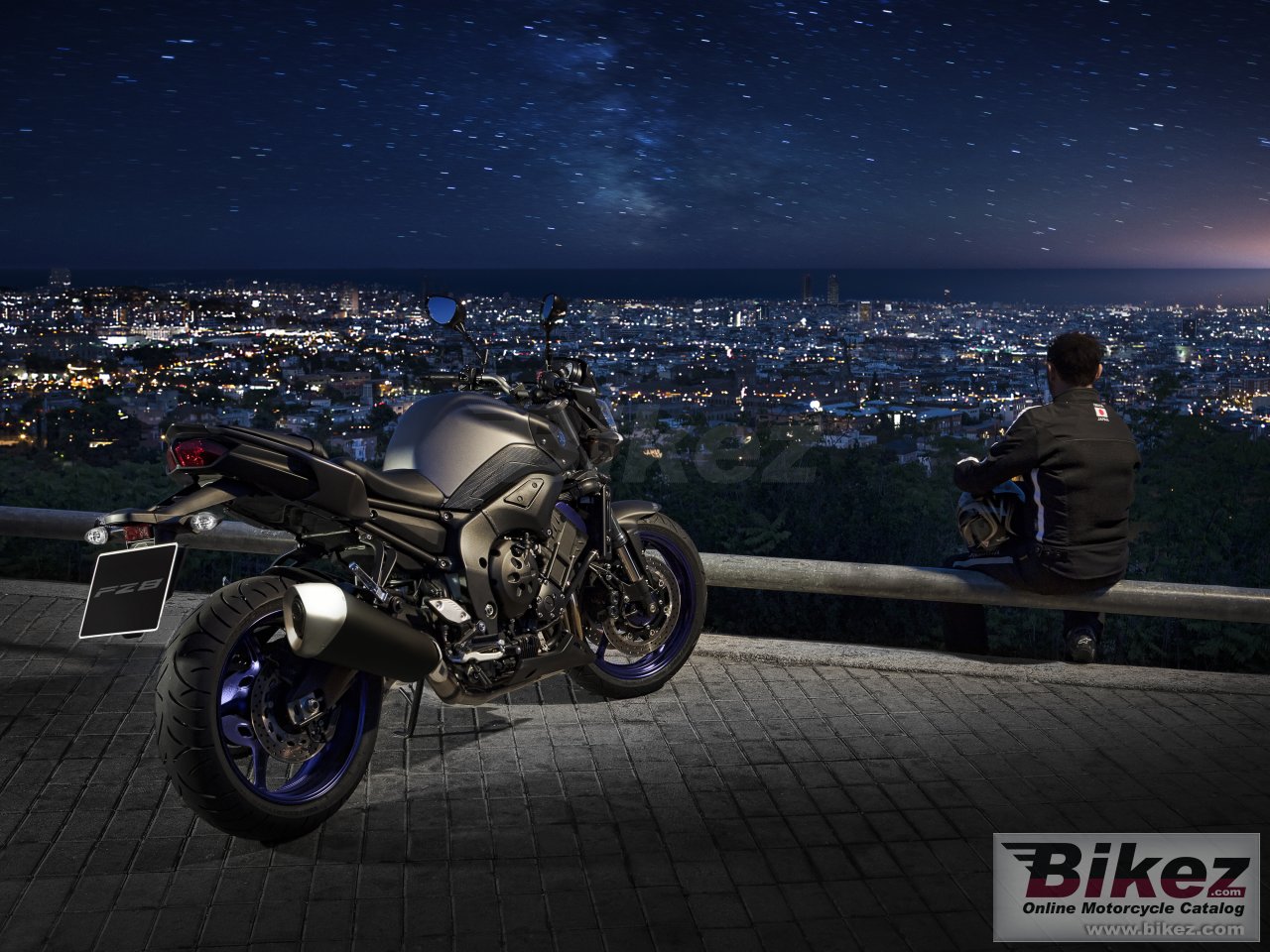 Thumbnail for Yamaha FZ8 2013