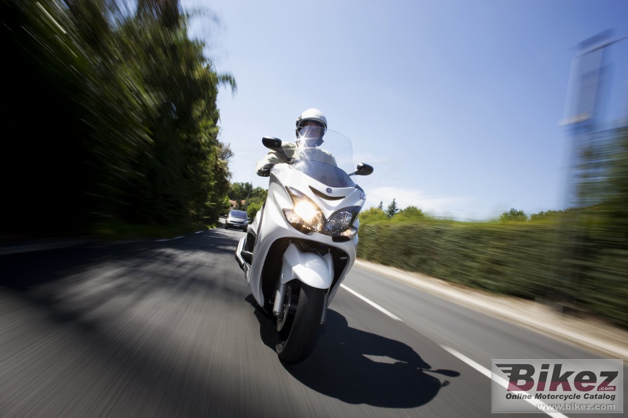 Thumbnail for Yamaha Majesty 2010
