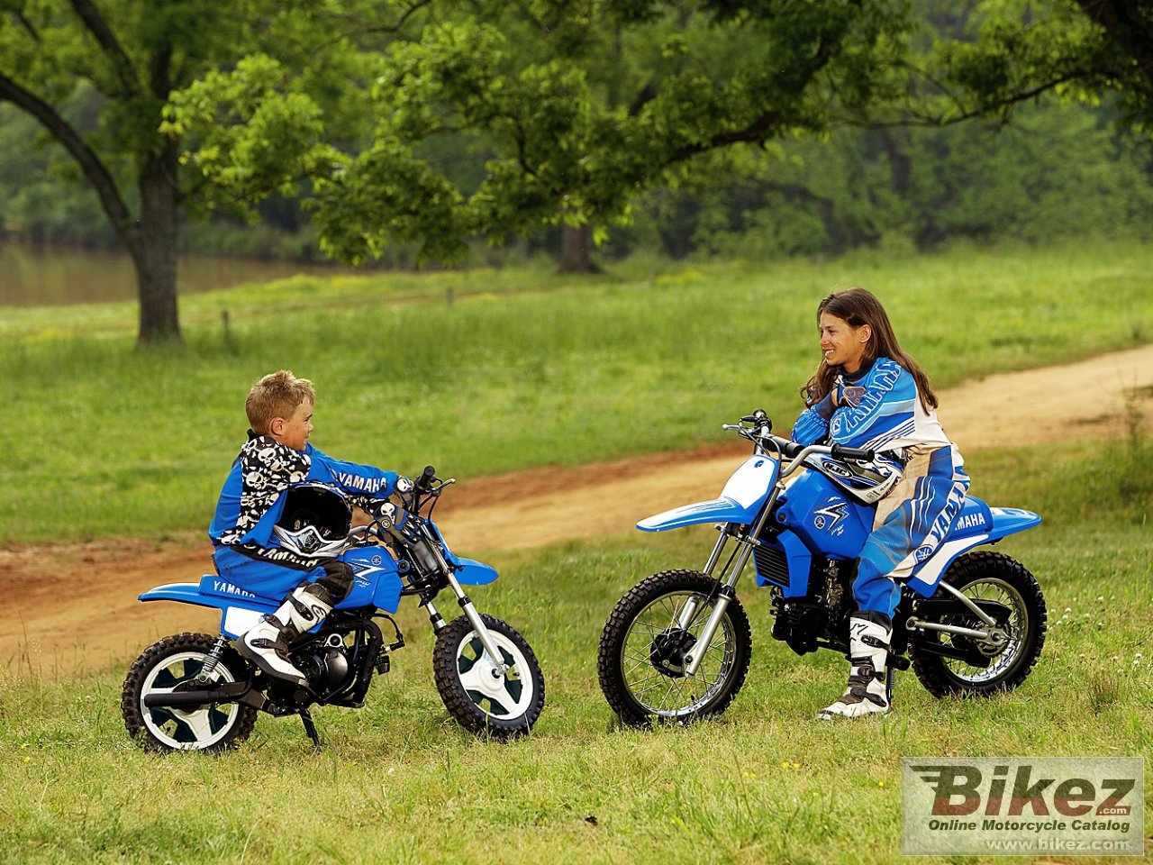 Thumbnail for Yamaha PW50 2012