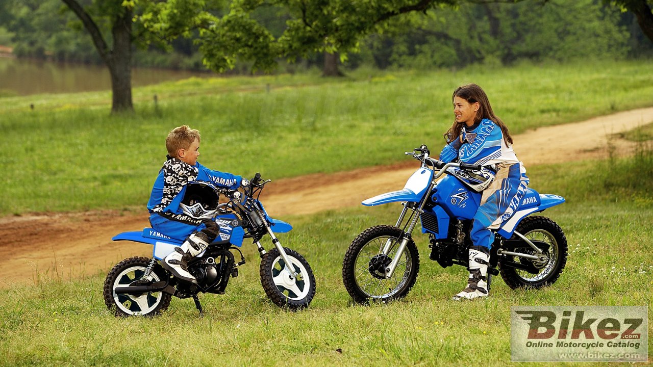 Thumbnail for Yamaha PW50 2015