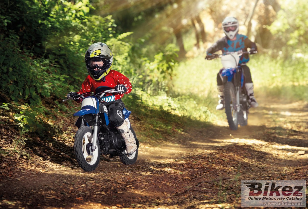 Thumbnail for Yamaha PW50 2016