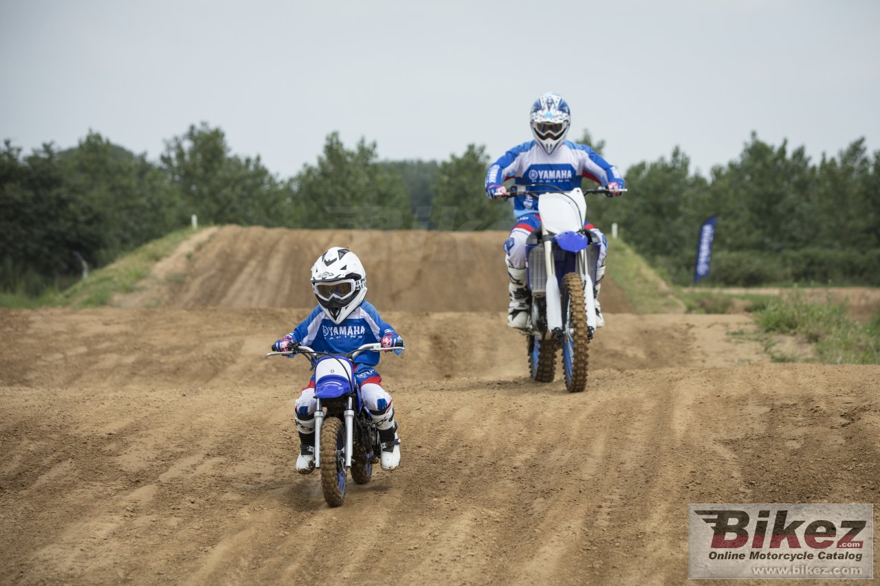 Thumbnail for Yamaha PW50 2018