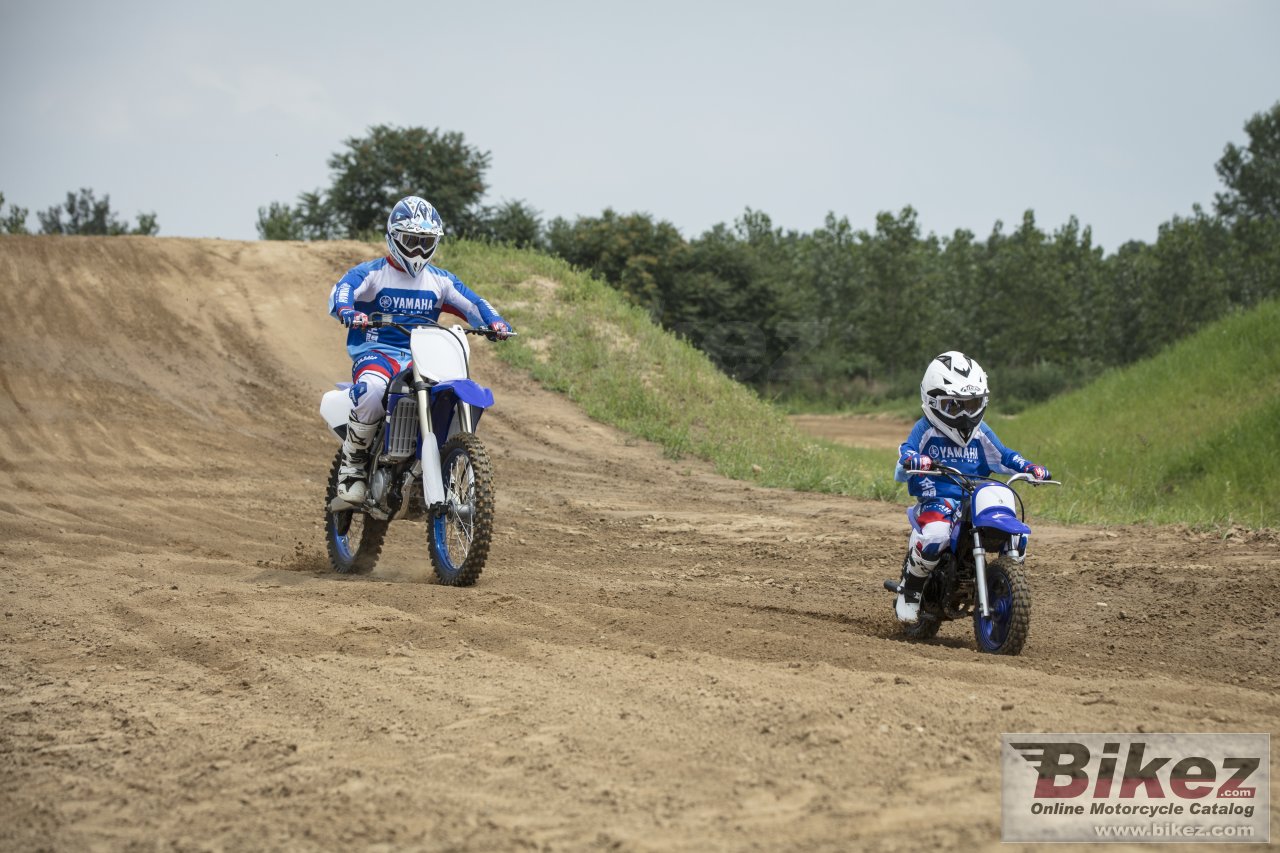 Thumbnail for Yamaha PW50 2018