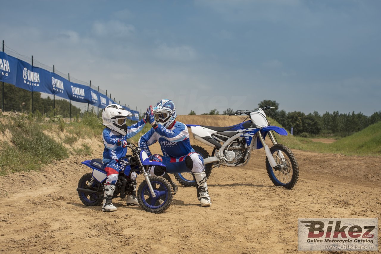 Thumbnail for Yamaha PW50 2018