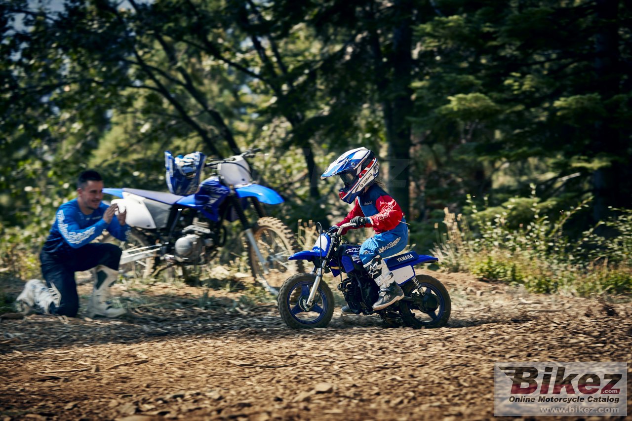 Thumbnail for Yamaha PW50 2019