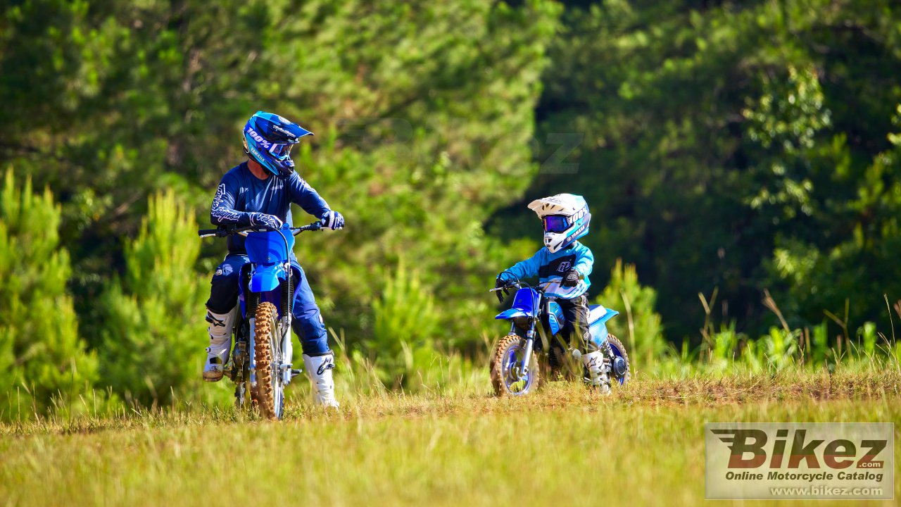 Thumbnail for Yamaha PW50 2024