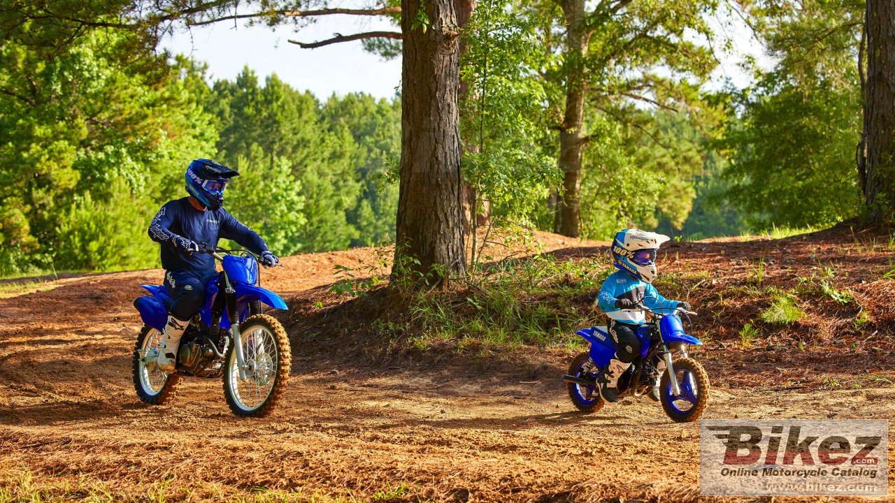 Thumbnail for Yamaha PW50 2024