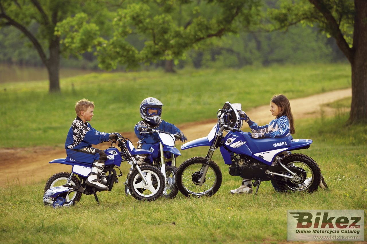 Thumbnail for Yamaha PW 50 2006