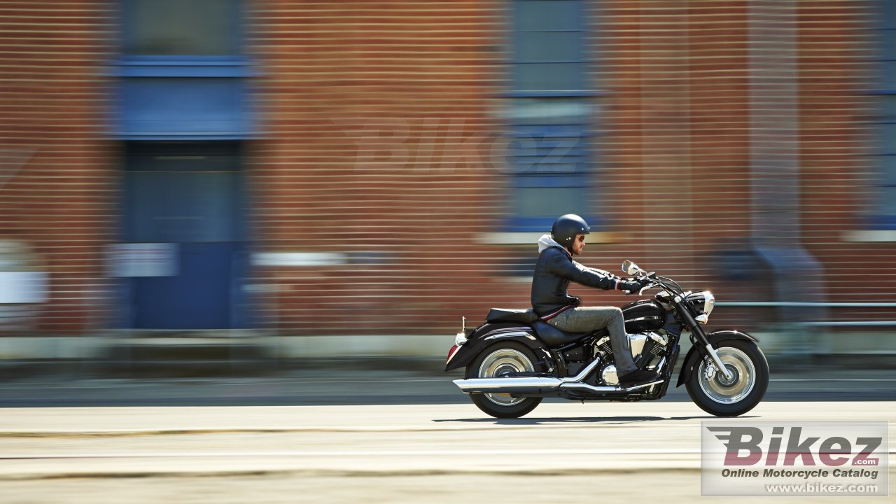Thumbnail for Yamaha XVS1300A Midnight Star 2016