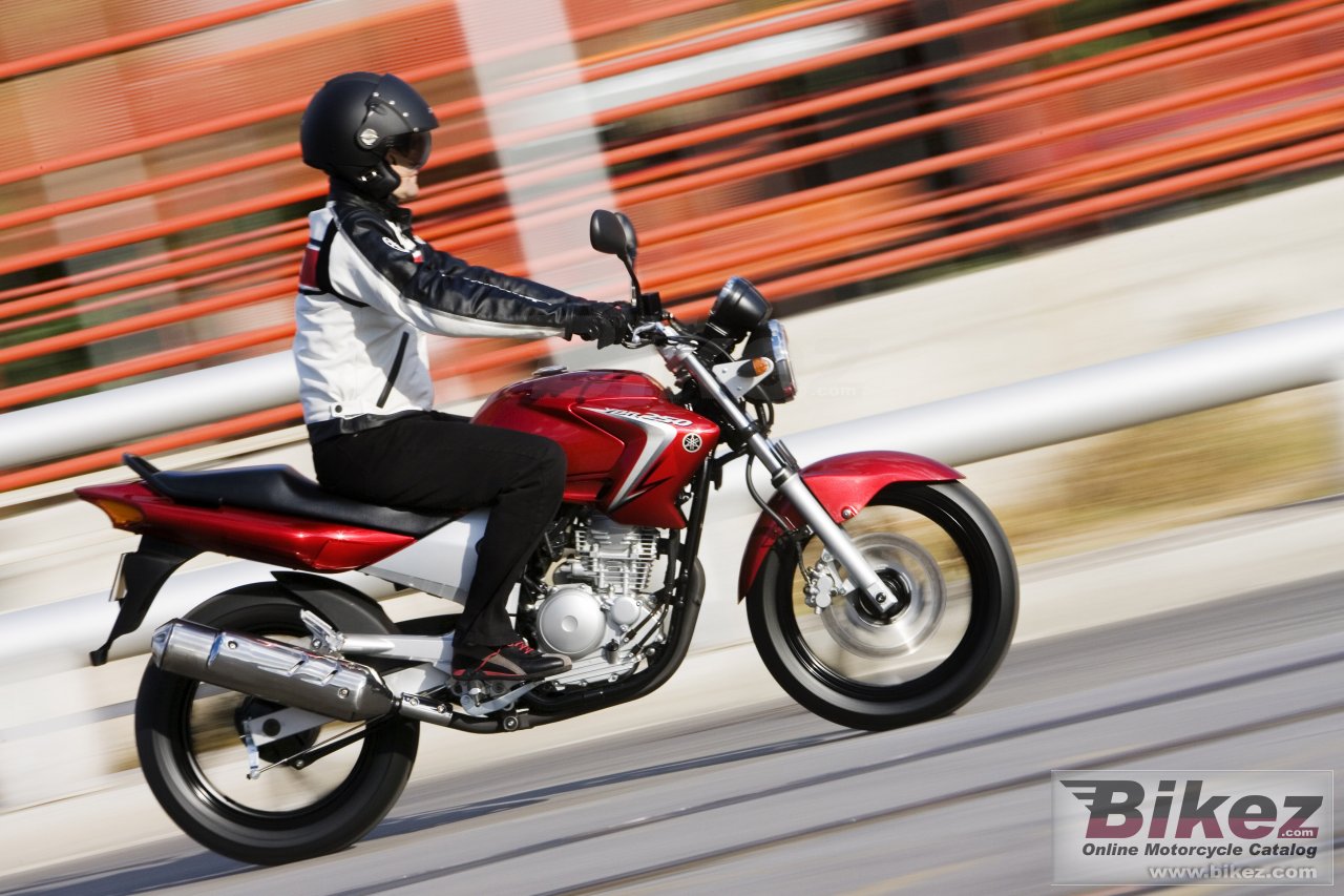 Thumbnail for Yamaha YBR250 2008