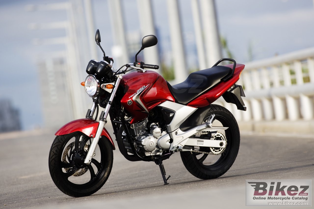 Thumbnail for Yamaha YBR250 2008