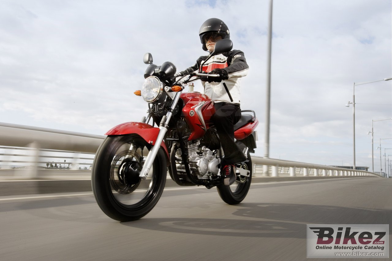 Thumbnail for Yamaha YBR250 2008