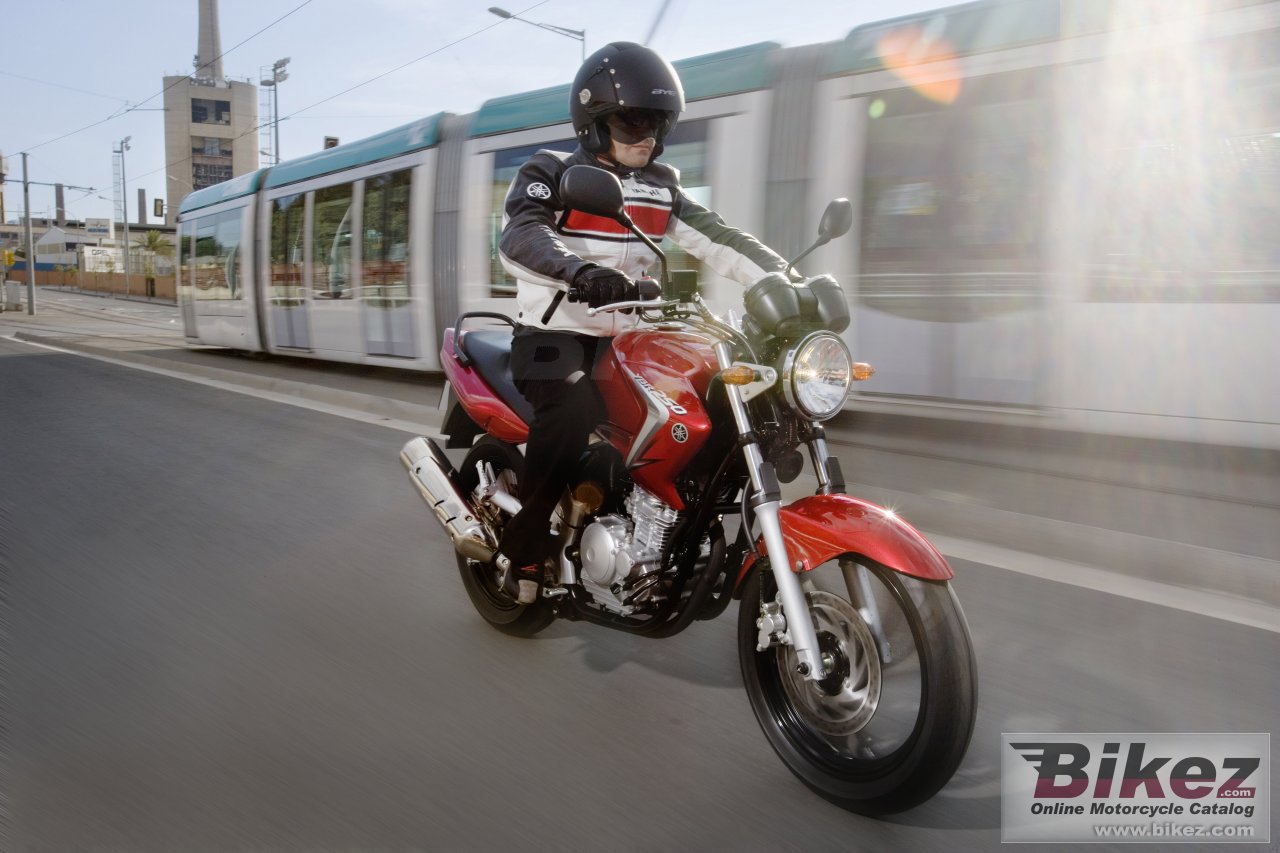 Thumbnail for Yamaha YBR250 2008