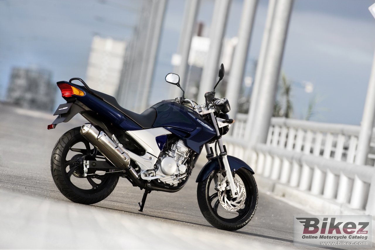 Thumbnail for Yamaha YBR250 2009