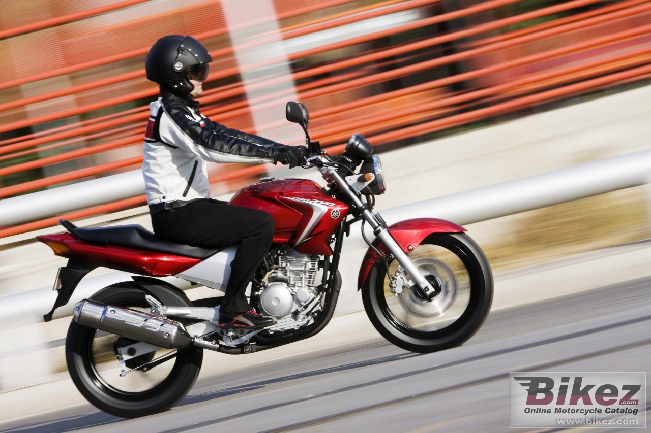 Thumbnail for Yamaha YBR 250 2007