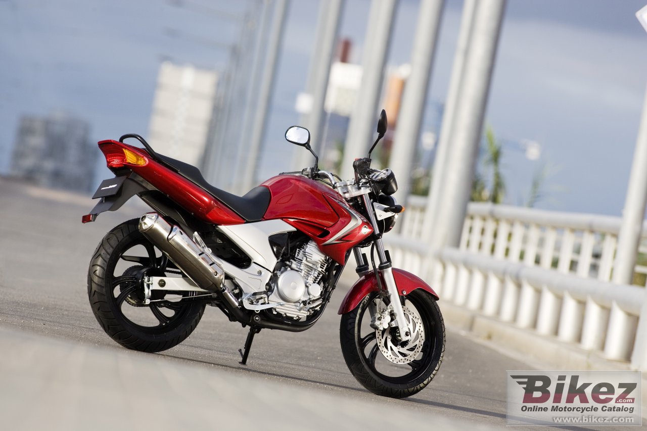 Thumbnail for Yamaha YBR 250 2007